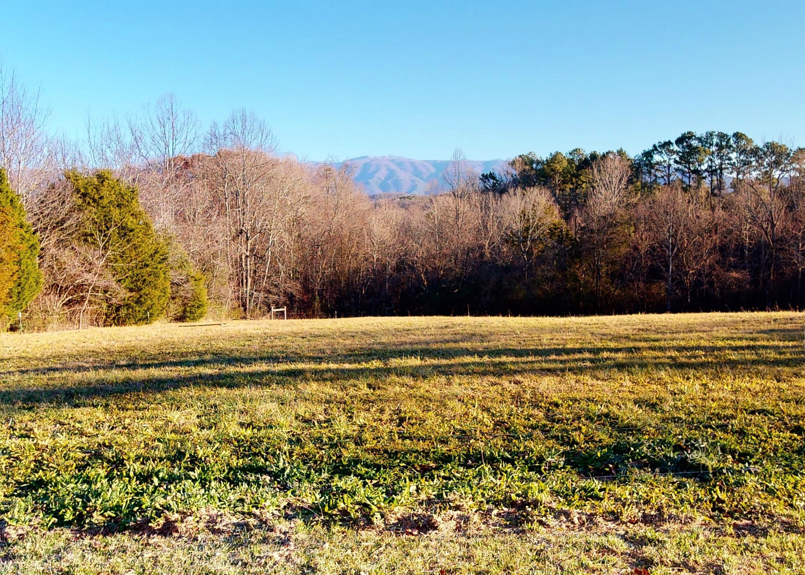 2127 Pisgah Road Greeneville, TN 37743 - Photo 53 of 72 Winter Mountain Views