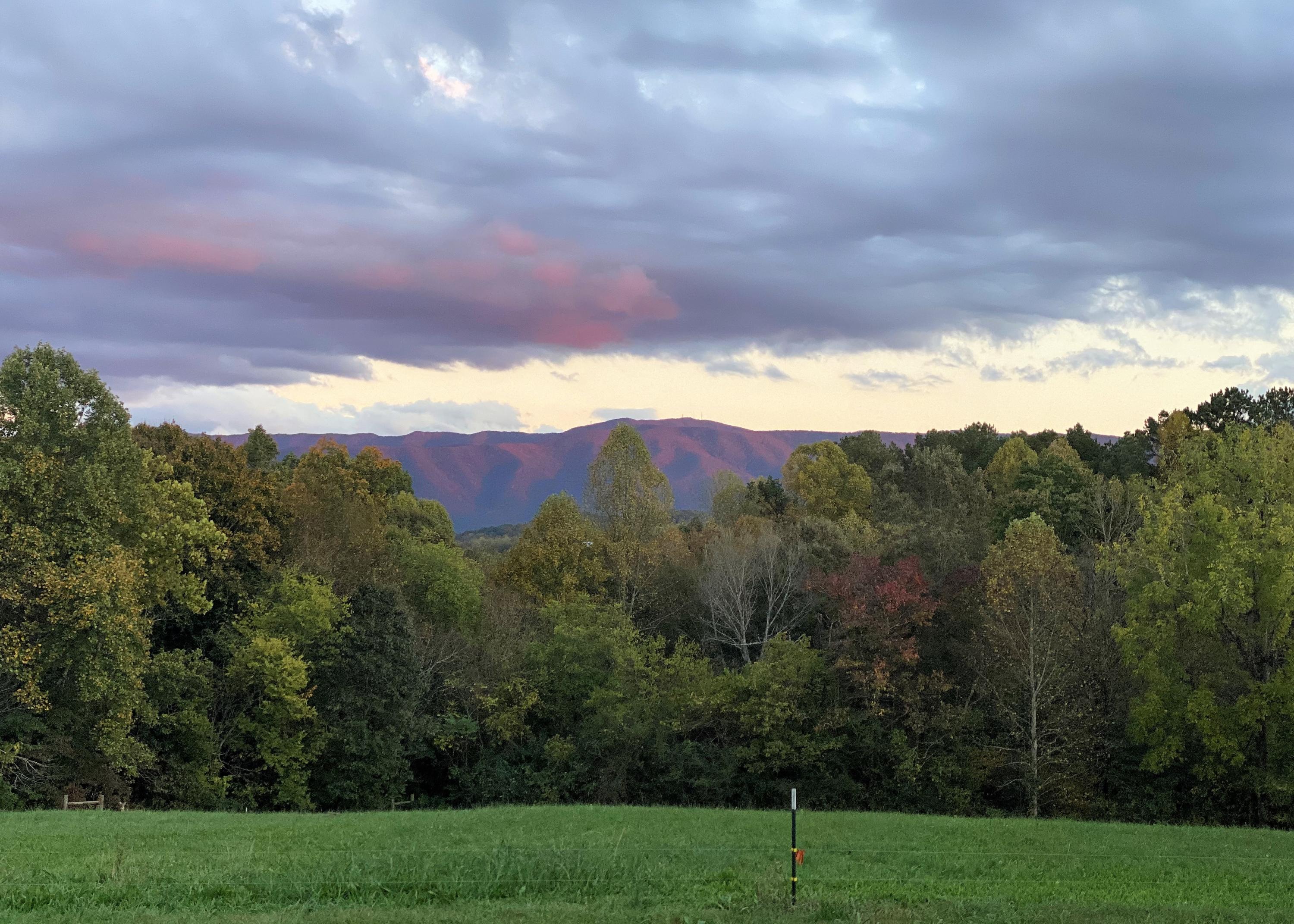 2127 Pisgah Road Greeneville, TN 37743 - Photo 54 of 72 Summer Mountain Views