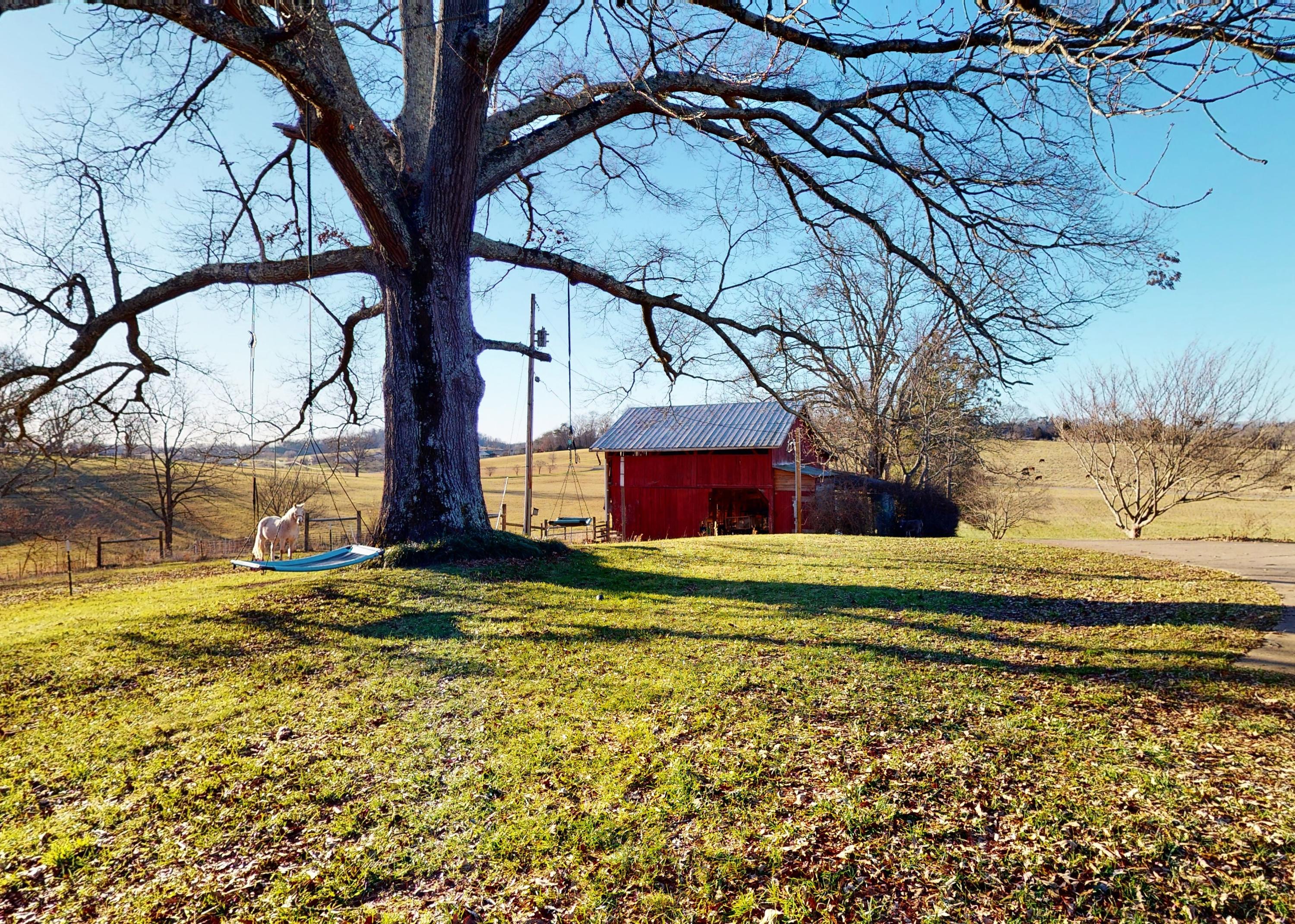 2127 Pisgah Road Greeneville, TN 37743 - Photo 57 of 72 Side Yard
