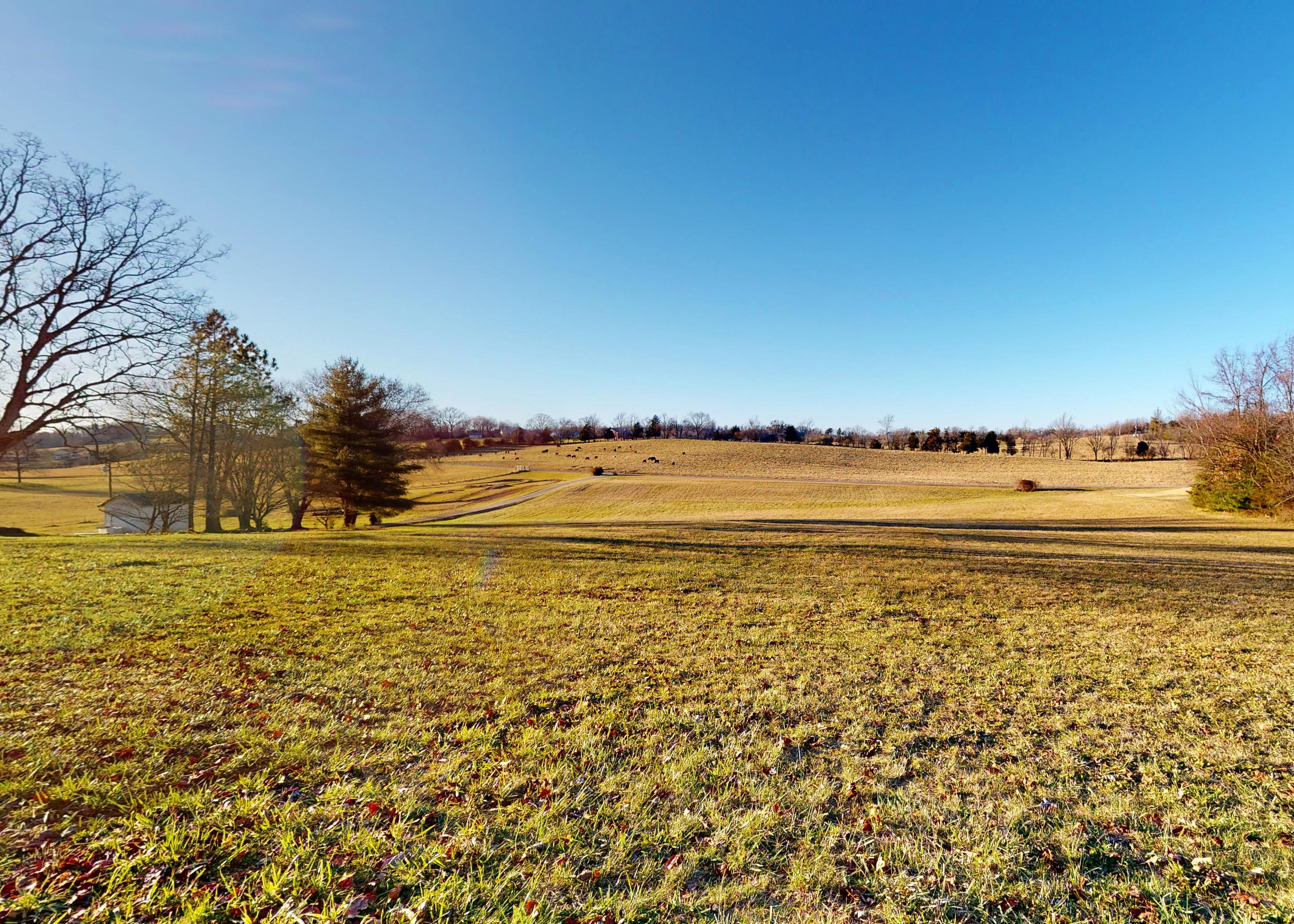 2127 Pisgah Road Greeneville, TN 37743 - Photo 6 of 72 Views From Front Porch