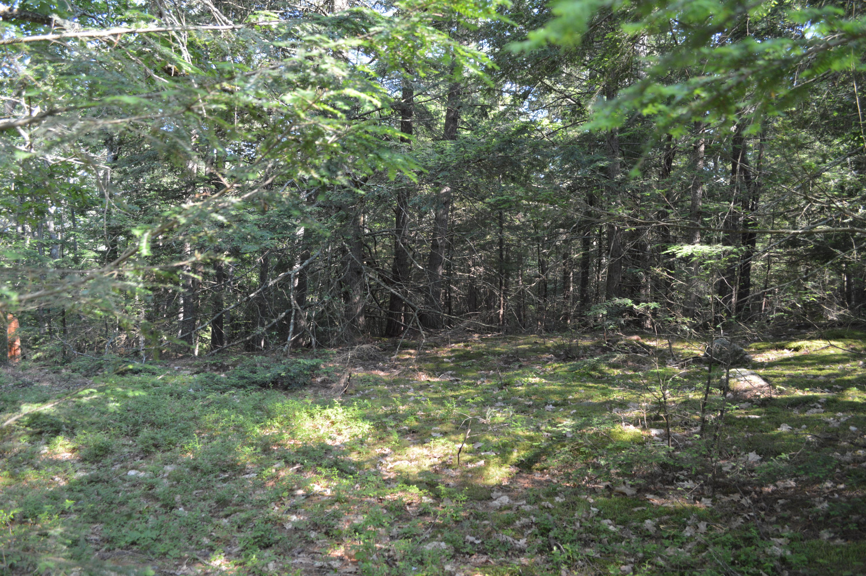 0 Johnson Road Windham, ME 04062 - Photo 23 of 24 .