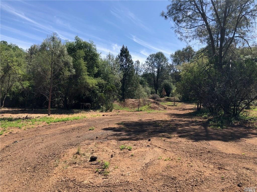 3643 Glebe Road Kelseyville, CA 95451 - Photo 1 of 10 a view of a yard with a tree