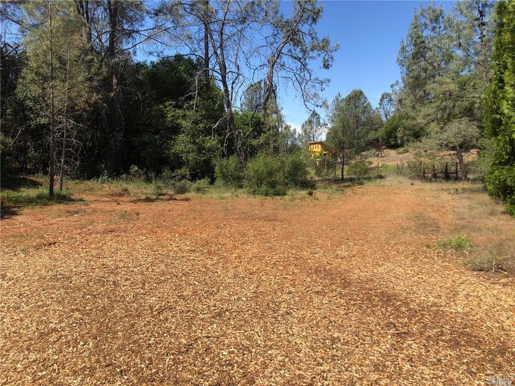3643 Glebe Road Kelseyville, CA 95451 - Photo 3 of 10 a view of empty yard with large trees