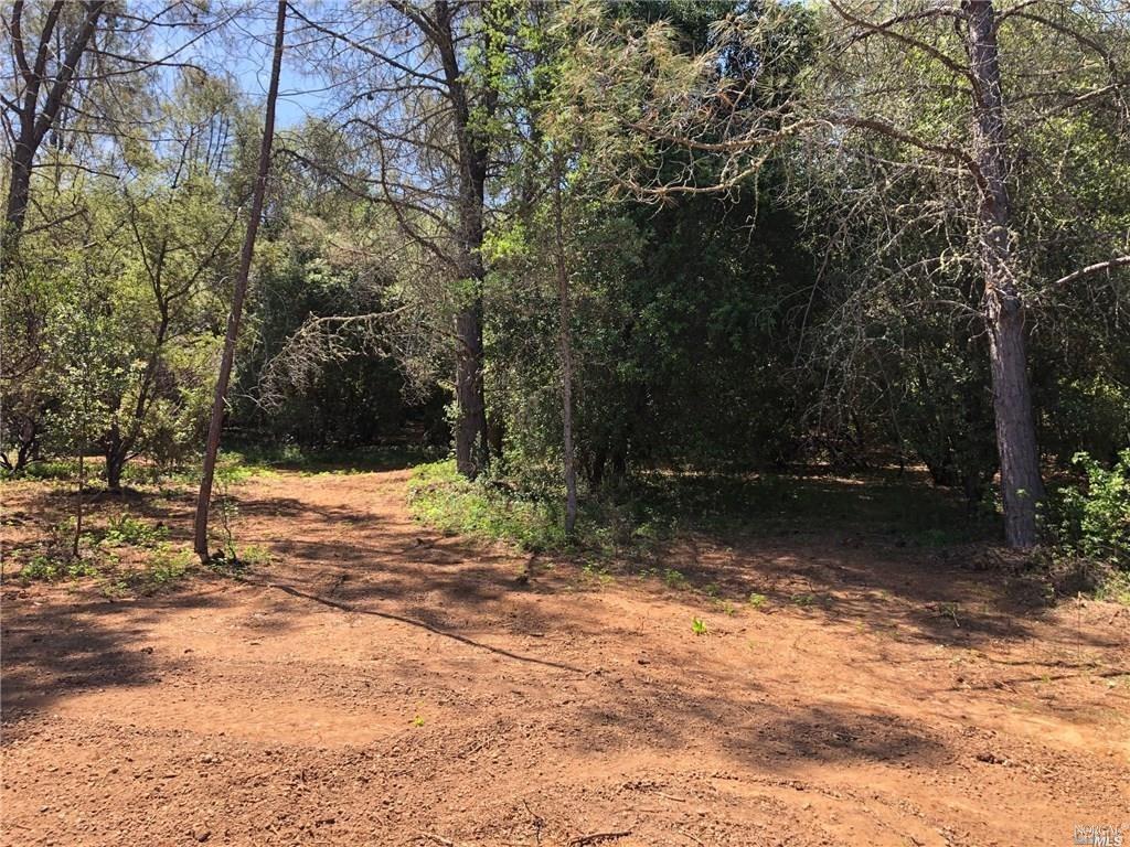 3643 Glebe Road Kelseyville, CA 95451 - Photo 5 of 10 a view of backyard of green space