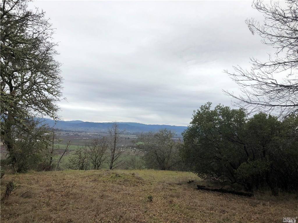 3643 Glebe Road Kelseyville, CA 95451 - Photo 8 of 10 a view of a dry yard with trees