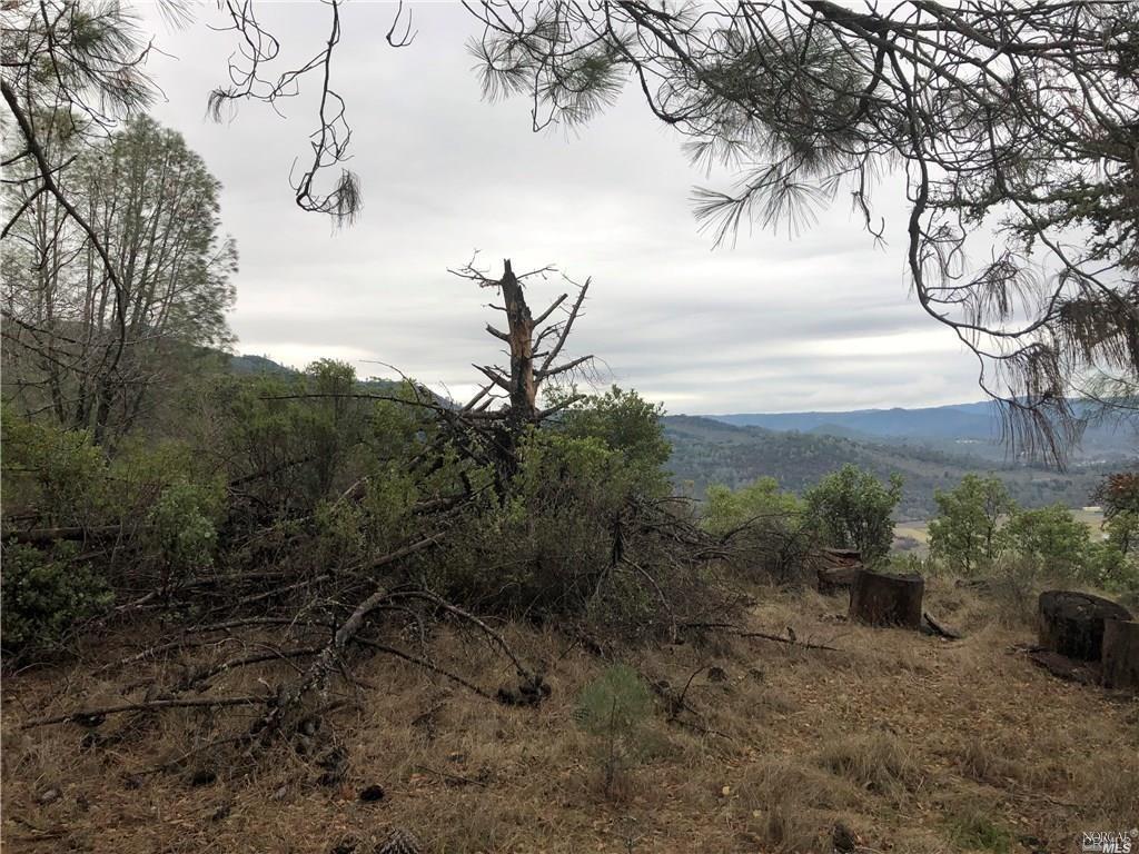 3643 Glebe Road Kelseyville, CA 95451 - Photo 9 of 10 a view of a yard with an trees