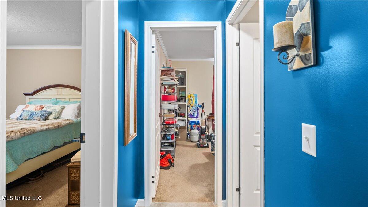 247 Carey Byrd Road, Unit A Carriere, MS 39426 - Photo 17 of 38 17-S2A03954