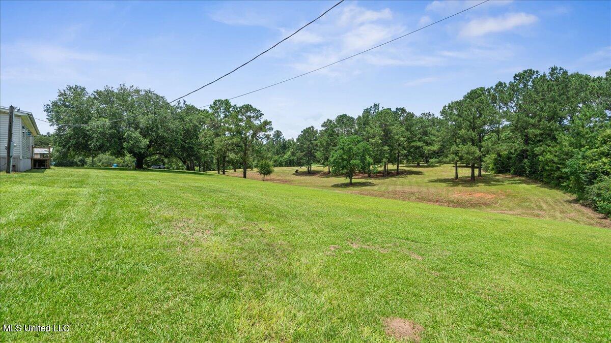 247 Carey Byrd Road, Unit A Carriere, MS 39426 - Photo 30 of 38 30-S2A03808