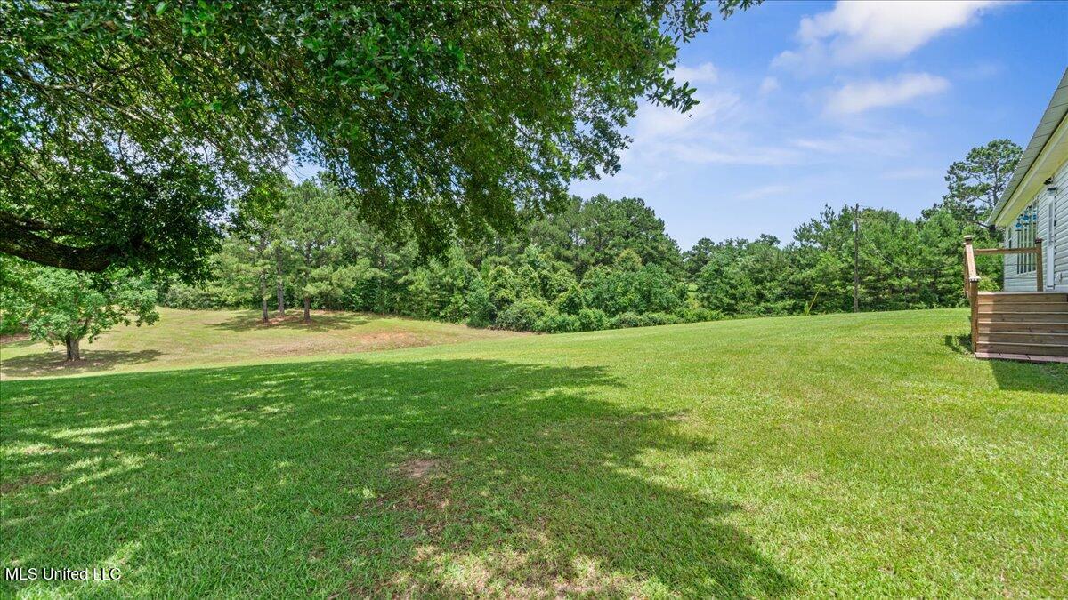 247 Carey Byrd Road, Unit A Carriere, MS 39426 - Photo 31 of 38 31-S2A03848