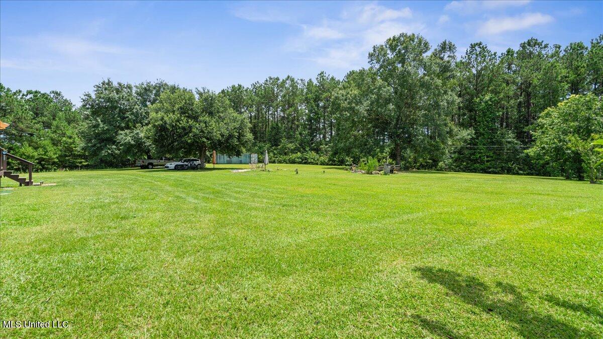 247 Carey Byrd Road, Unit A Carriere, MS 39426 - Photo 32 of 38 32-S2A03858