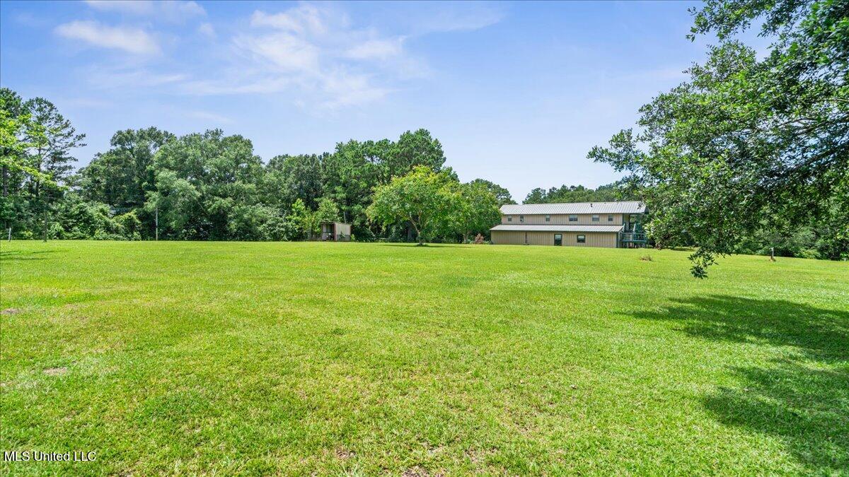 247 Carey Byrd Road, Unit A Carriere, MS 39426 - Photo 33 of 38 33-S2A03853