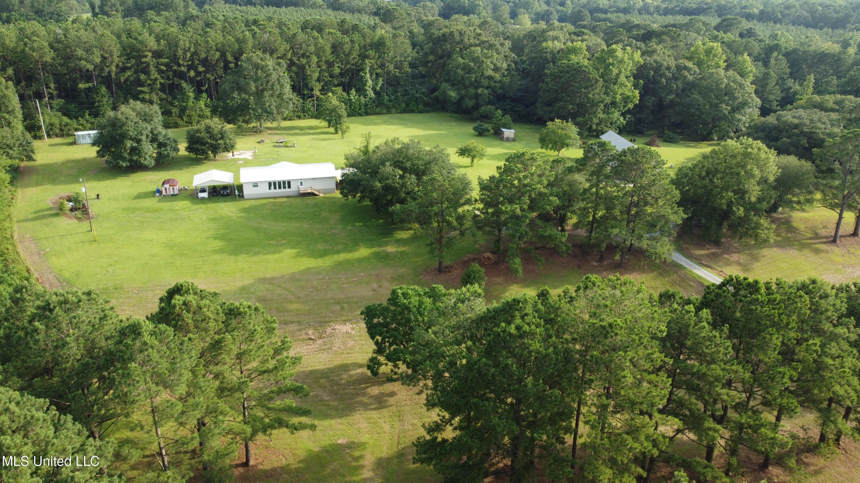 247 Carey Byrd Road, Unit A Carriere, MS 39426 - Photo 35 of 38 DJI_0058
