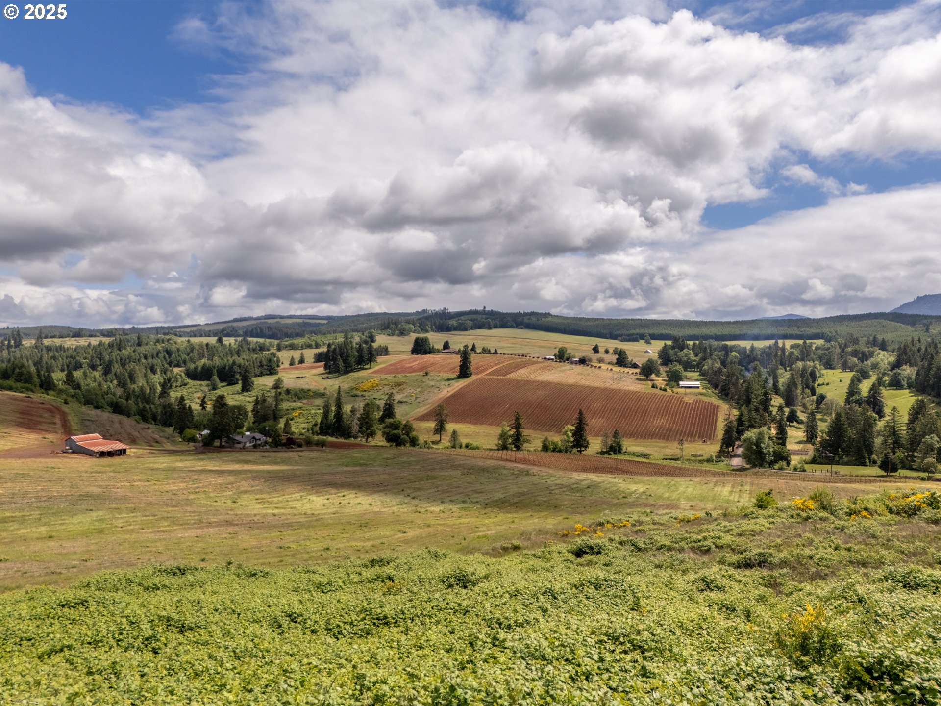 1066 Red Hill Road Oakland, OR 97462 - Photo 40 of 48