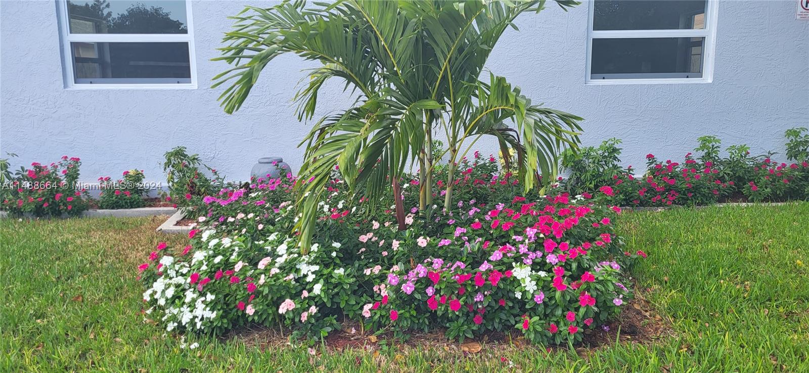 a flower plants in front of a house