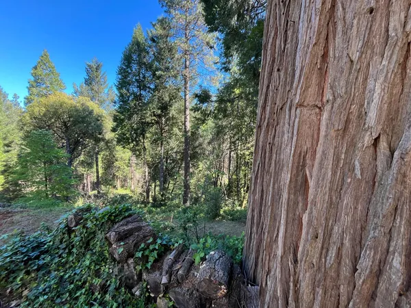 $135,000 | 14619 Old Marysville Road, Camptonville, CA 95922