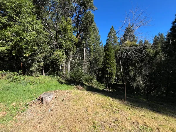 $135,000 | 14619 Old Marysville Road, Camptonville, CA 95922