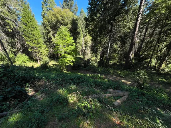 $135,000 | 14619 Old Marysville Road, Camptonville, CA 95922