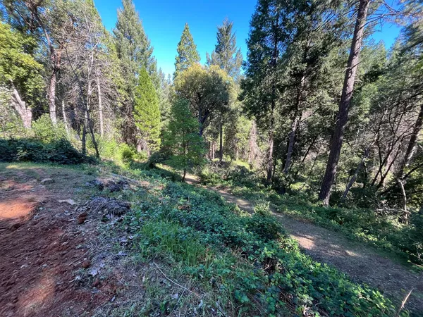 $135,000 | 14619 Old Marysville Road, Camptonville, CA 95922