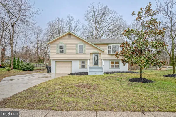 a house that has a tree in front of it