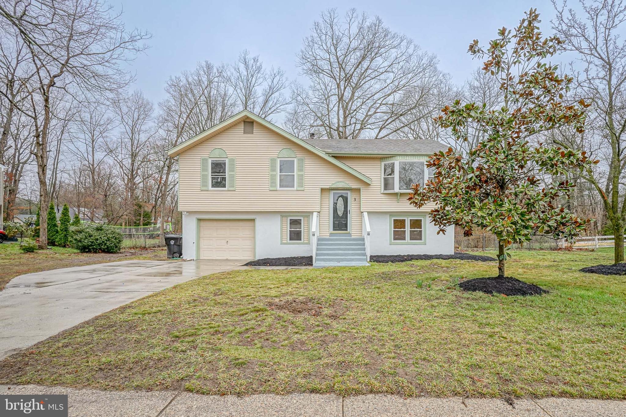 3 Alberts Avenue Sicklerville, NJ 08081 - Photo 1 of 36 a house that has a tree in front of it