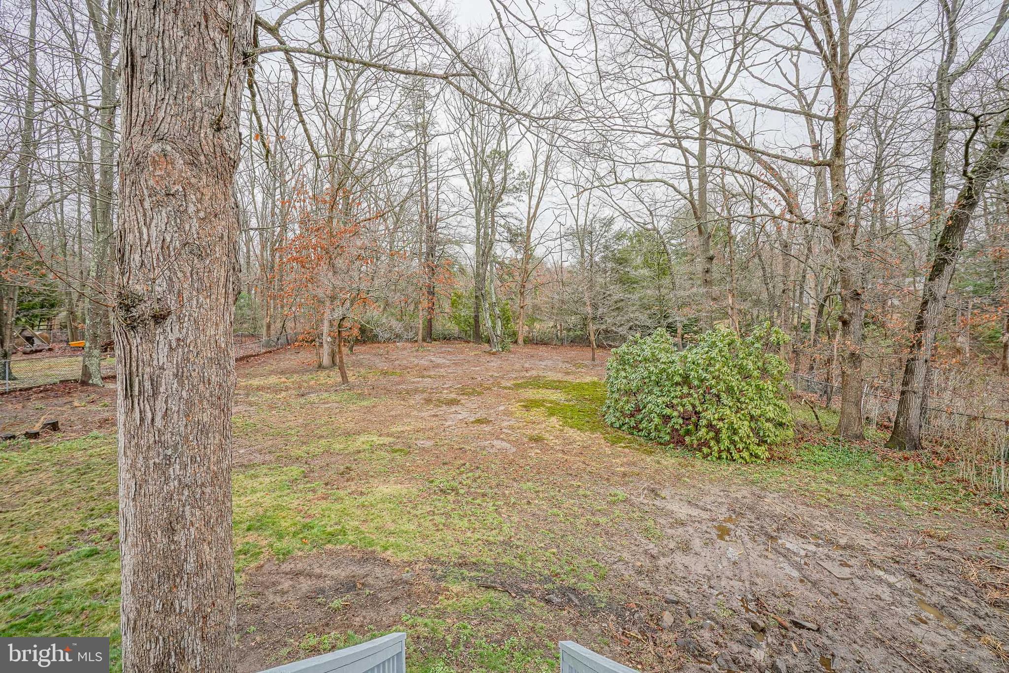 3 Alberts Avenue Sicklerville, NJ 08081 - Photo 36 of 36 a view of outdoor space and yard