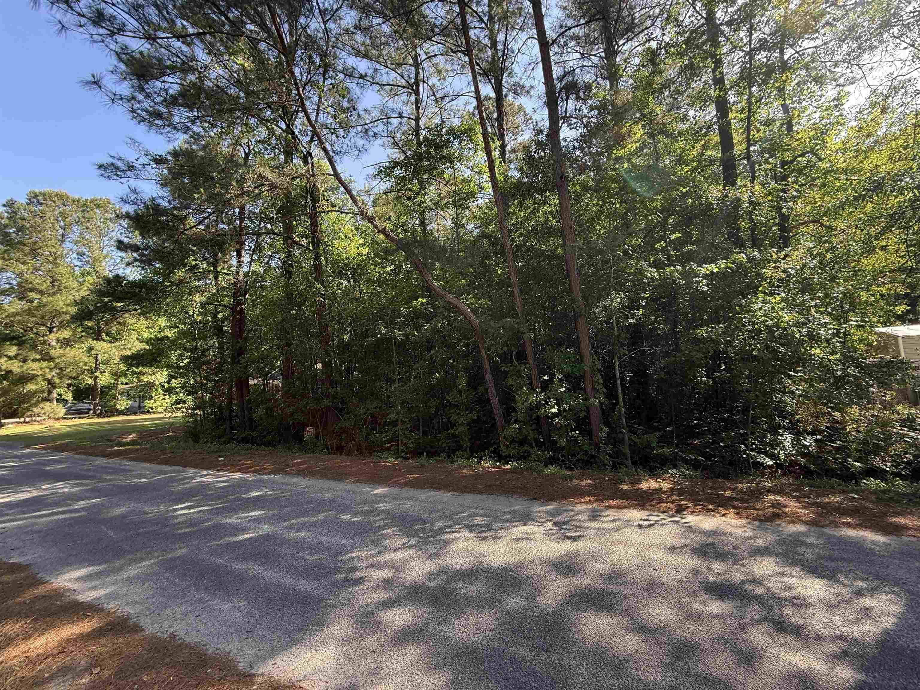 Tbd Jefferson Road Mullins, SC 29574 - Photo 2 of 4
