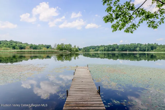 a view of a lake with a large trees