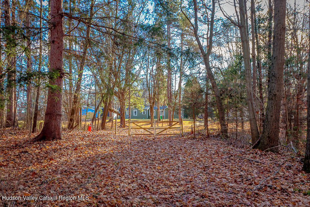 68 Orinsekwa Road Valatie, NY 12184 - Photo 34 of 41 a backyard of a house with lots of green space