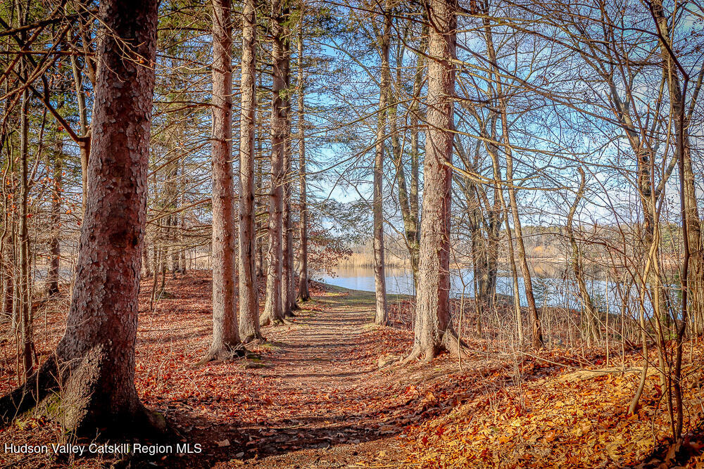 68 Orinsekwa Road Valatie, NY 12184 - Photo 35 of 41 a view of yard