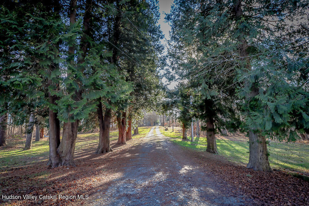 68 Orinsekwa Road Valatie, NY 12184 - Photo 40 of 41 a view of a yard with a tree
