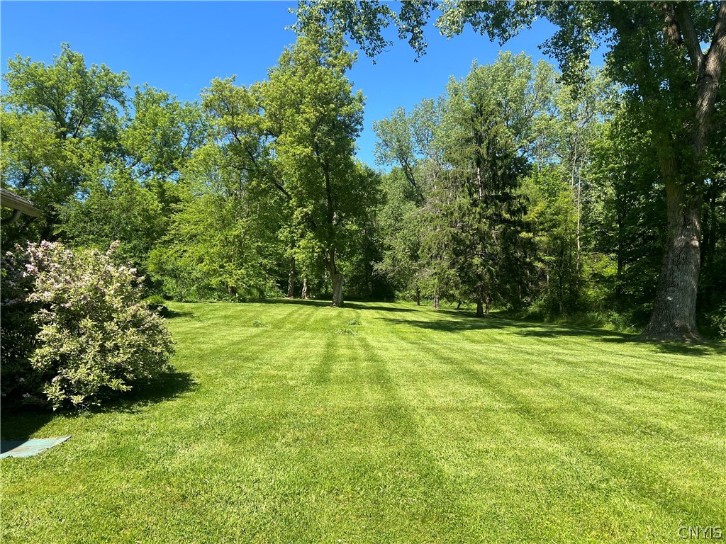 2778 Otisco Valley Road Marcellus, NY 13110 - Photo 6 of 44 Almost a full acre to enjoy