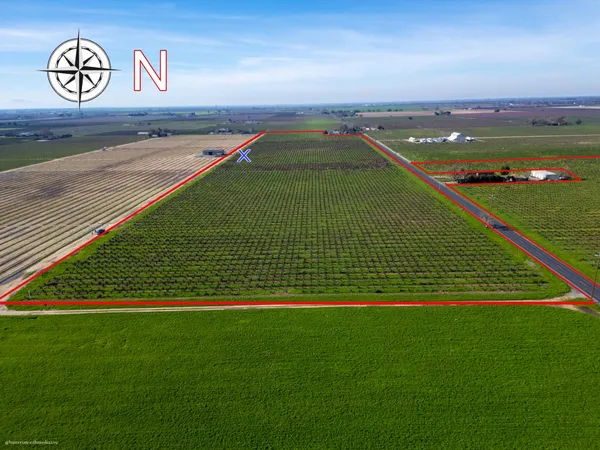 swimming pool view with a large garden space