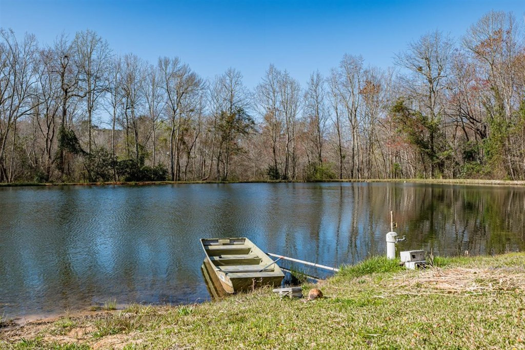263 Greenville Road Warrenville, SC 29851 - Photo 13 of 42