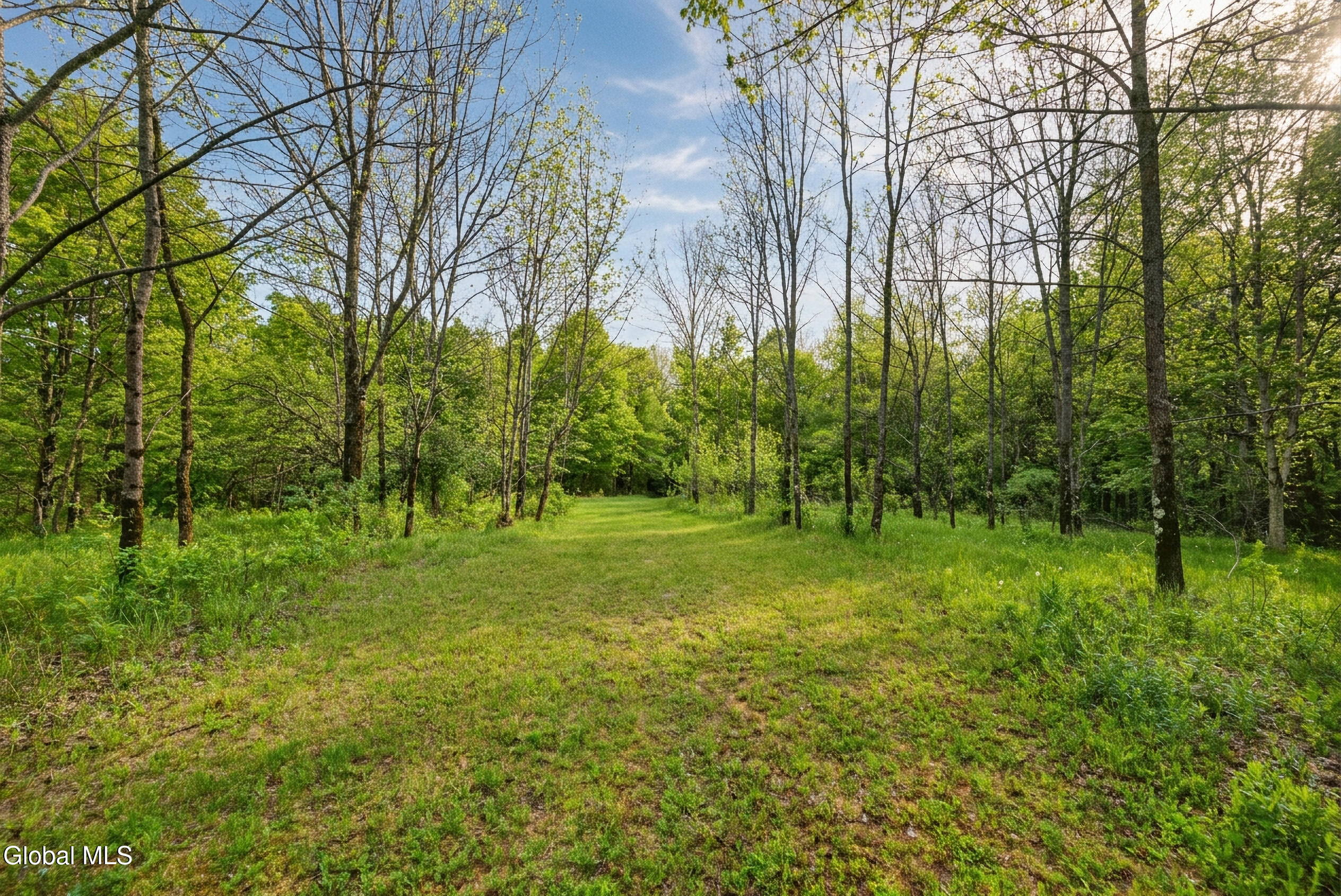 164 Zellner Road Summit, NY 12175 - Photo 91 of 102 164 Zellner Rd - Exterior-Camera-Drone-2