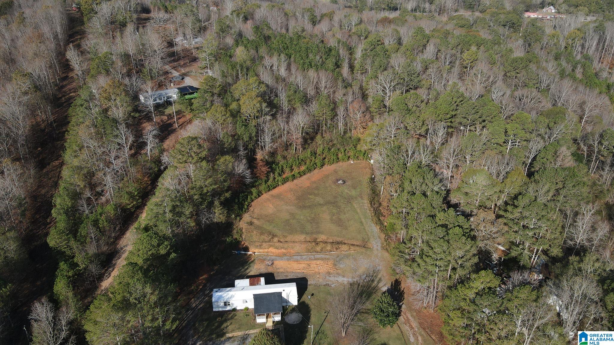 1005 Hoods Cross Road Oneonta, AL 35121 - Photo 6 of 19 Gallery Image 6