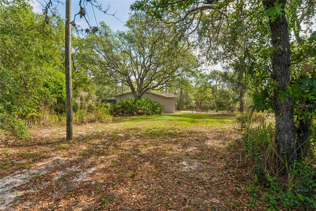 14345 Missouri Skylark Road Weeki Wachee, FL 34614 - Photo 38 of 46