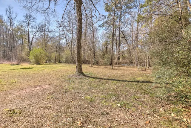 a view of a yard with trees