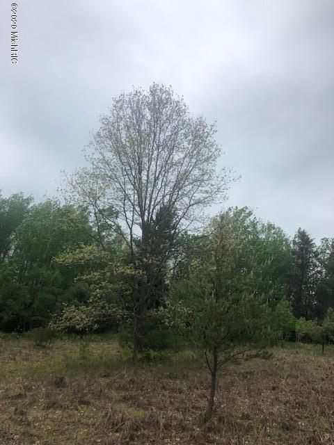 40-acres South Deer Lake Road Reed City, MI 49677 - Photo 11 of 14 IMG_6850