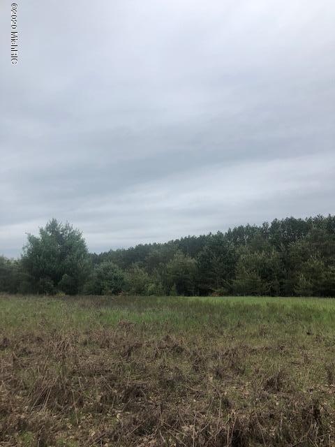 40-acres South Deer Lake Road Reed City, MI 49677 - Photo 12 of 14 IMG_6851