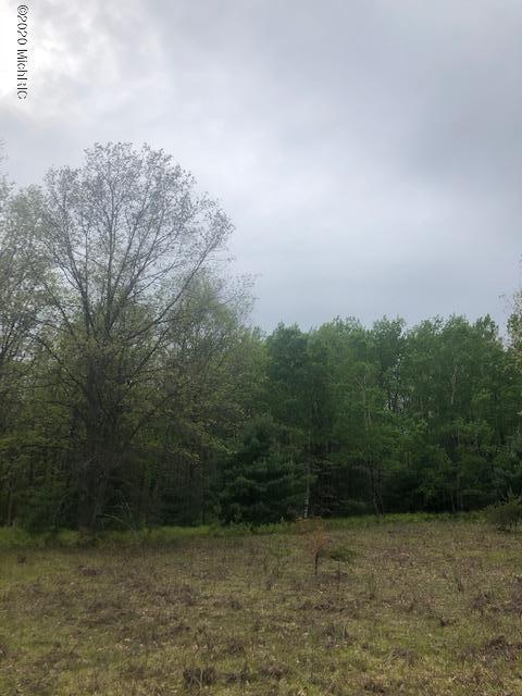40-acres South Deer Lake Road Reed City, MI 49677 - Photo 13 of 14 IMG_6852