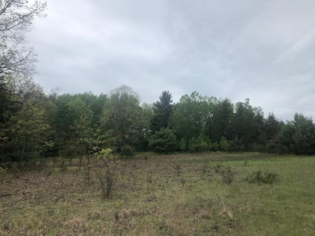 40-acres South Deer Lake Road Reed City, MI 49677 - Photo 3 of 14 IMG_6842