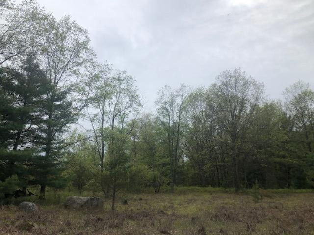 40-acres South Deer Lake Road Reed City, MI 49677 - Photo 5 of 14 IMG_6844