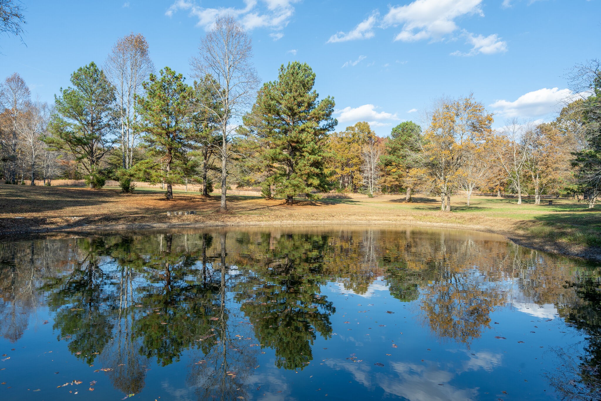 a view of a lake with a mountain