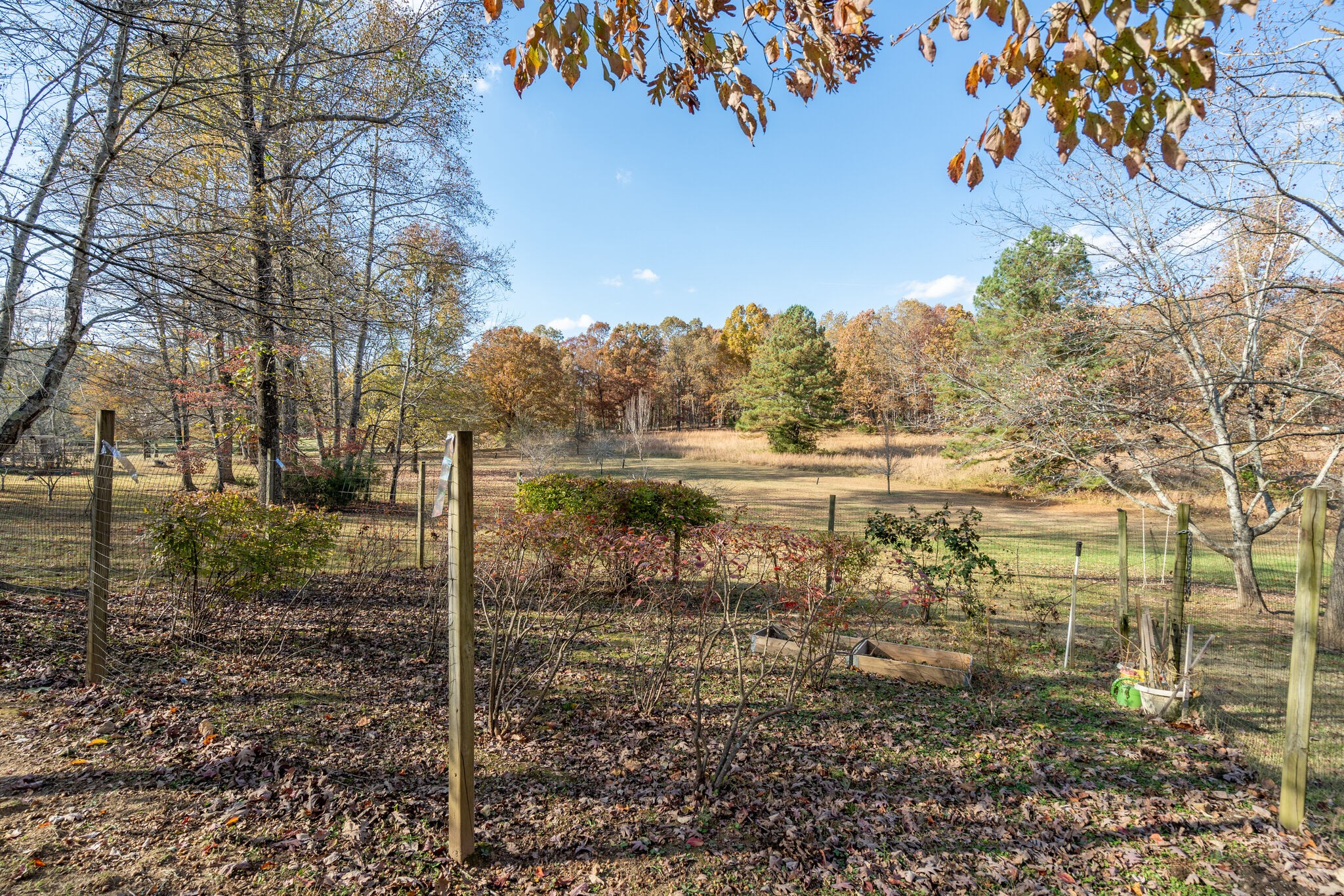 1823 Fortner Road Dickson, TN 37055 - Photo 40 of 55