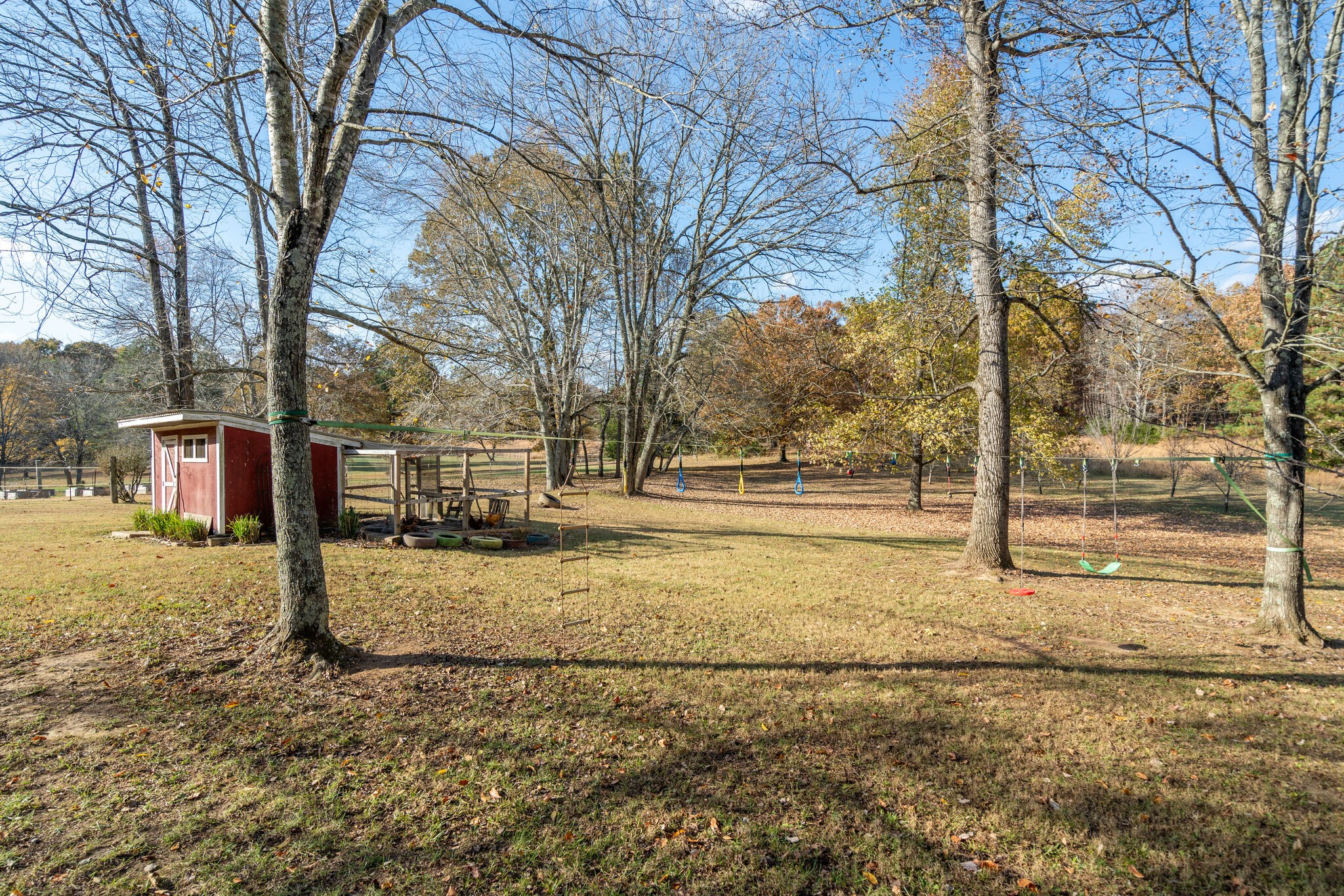 1823 Fortner Road Dickson, TN 37055 - Photo 45 of 55 a view of yard with tree