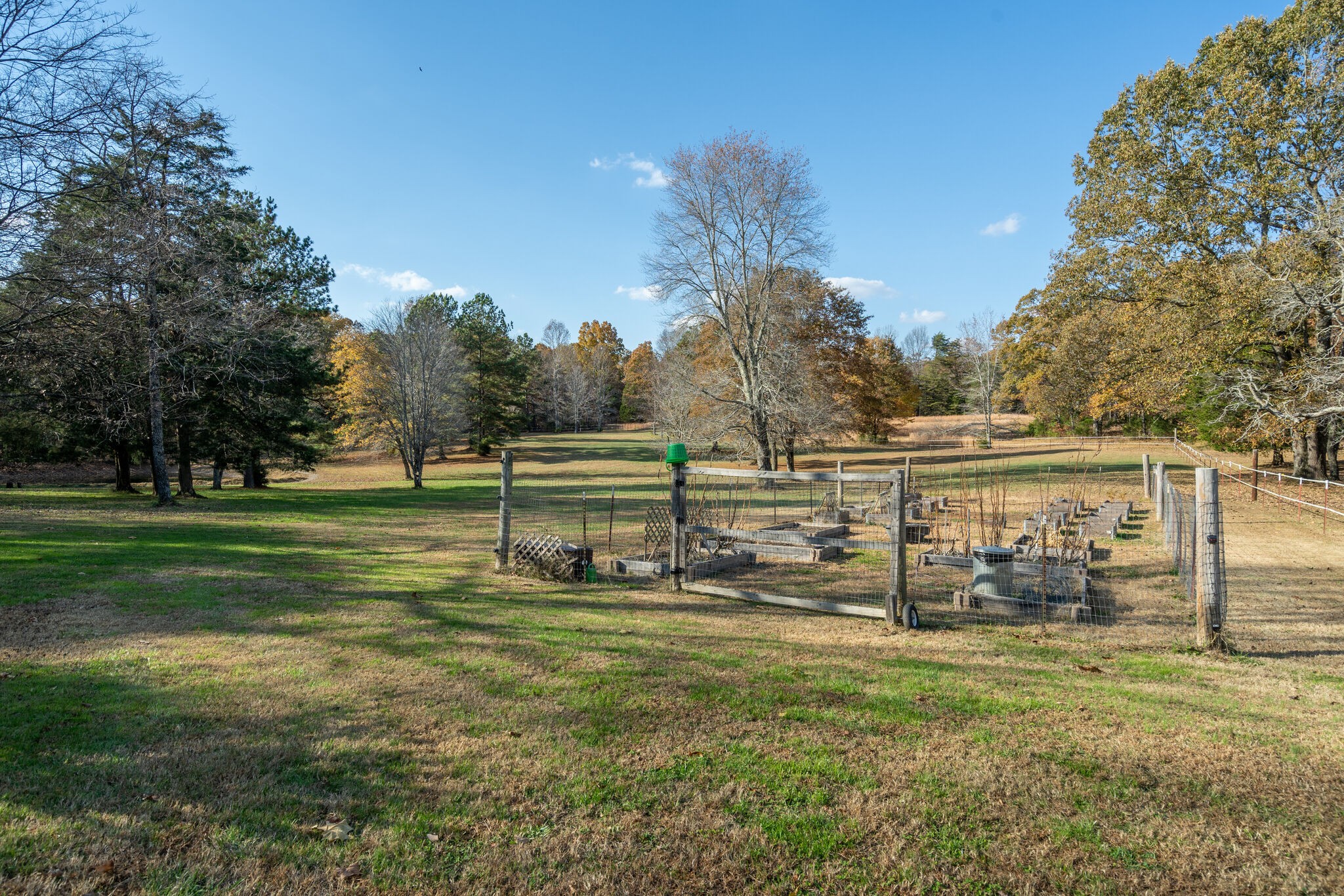 1823 Fortner Road Dickson, TN 37055 - Photo 47 of 55 a view of a park with large trees