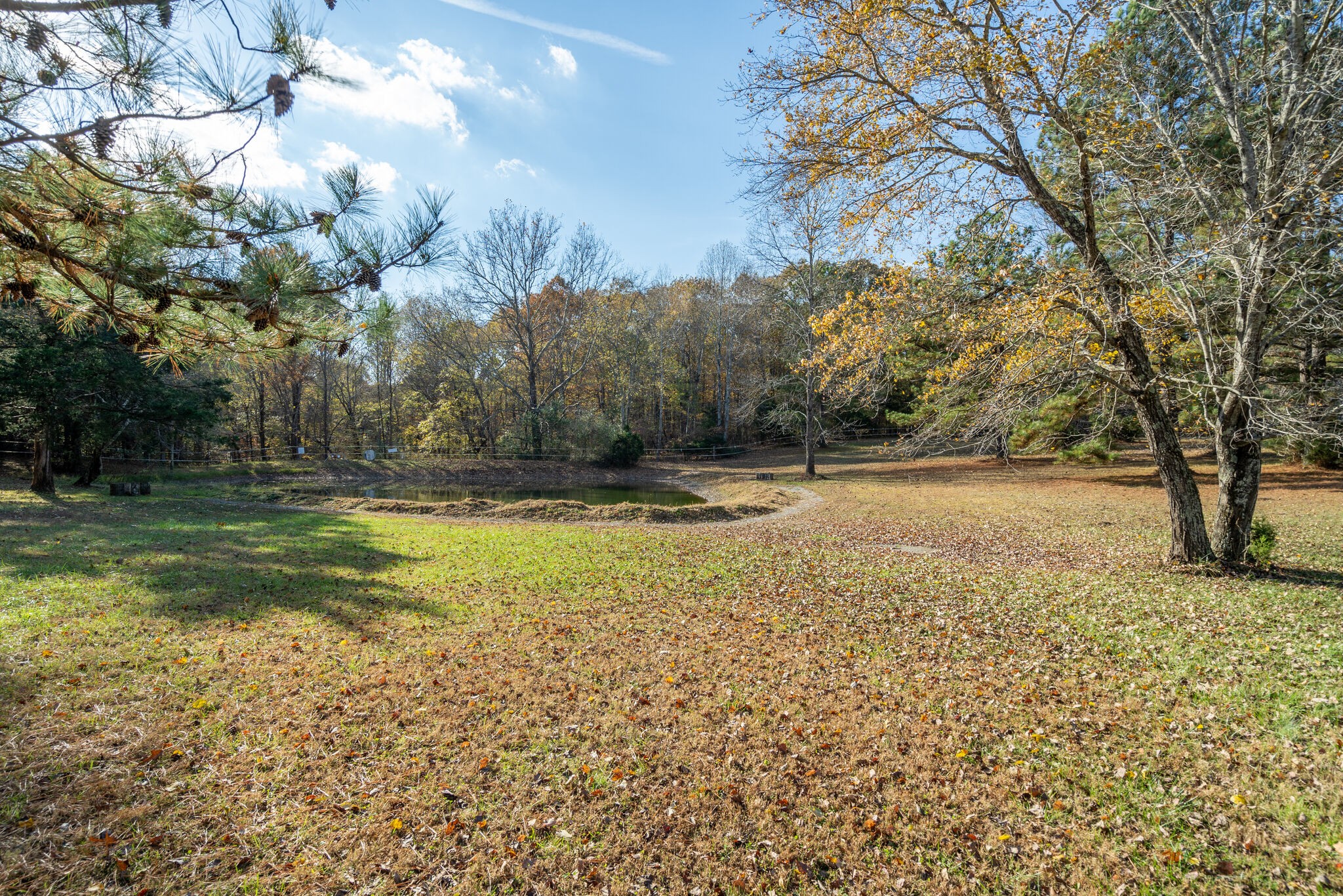 1823 Fortner Road Dickson, TN 37055 - Photo 50 of 55 a view of swimming pool with an outdoor space