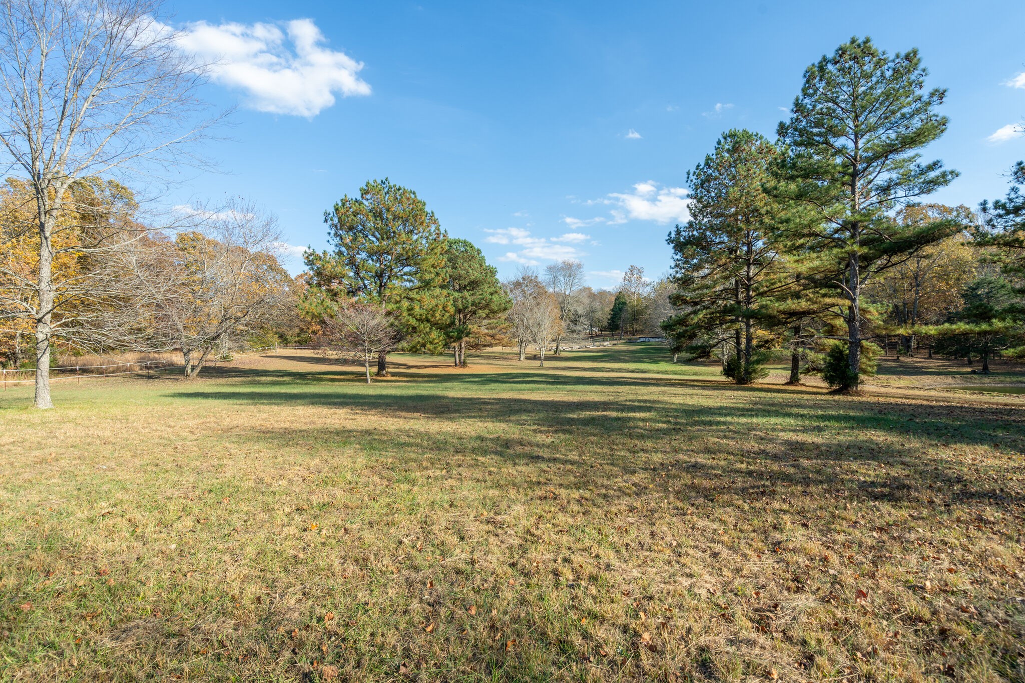 1823 Fortner Road Dickson, TN 37055 - Photo 51 of 55 a view of a lake view