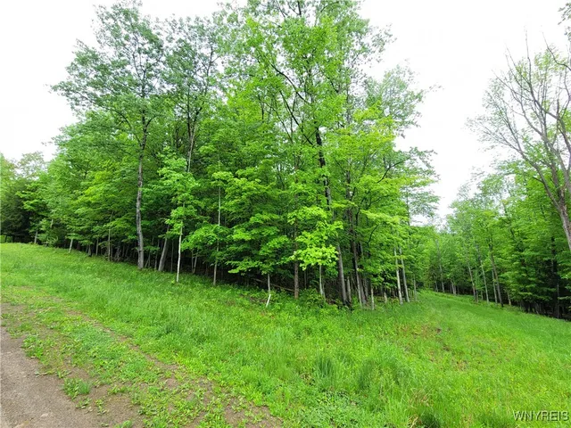 $28,900 | 0 Cr-24, Swain, NY 14884