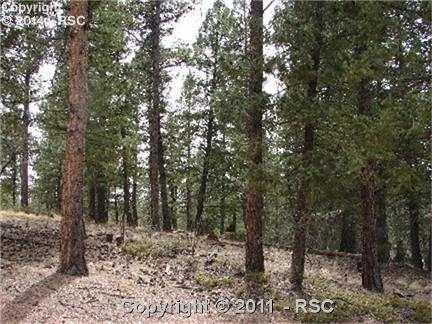 548 Pinewood Road Florissant, CO 80816 - Photo 1 of 3